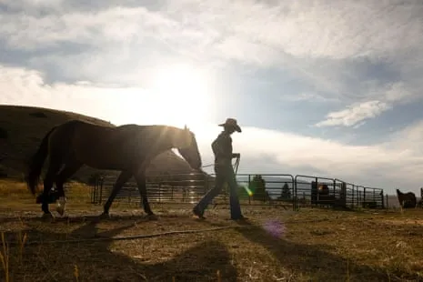 Meet the American Female Ranchers Transforming Contemporary Farm Life