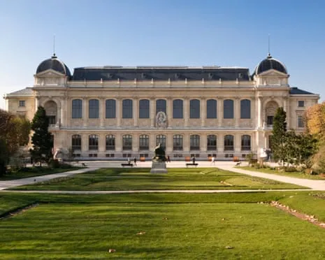 Priceless Gold Pieces Stolen in Daring Robbery at French National Museum